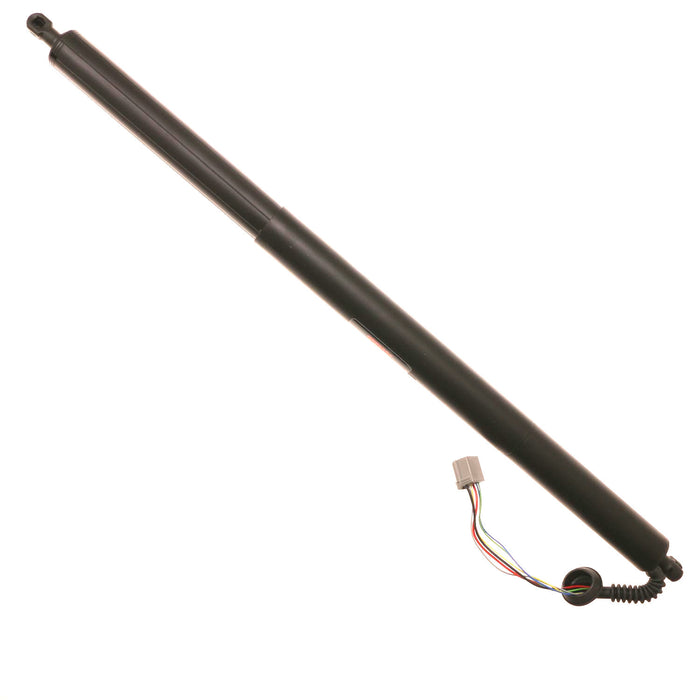 Trunk Lid Lift Support for Ford Escape 2013 - 2017 TRW TSG904004