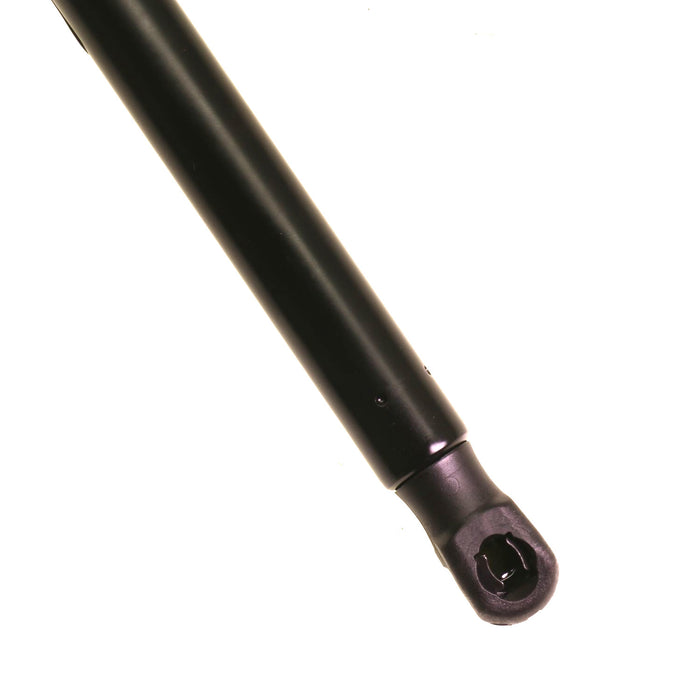 Hatch Lift Support for Audi A4 allroad 2017 - 2024 TRW TSG301085