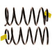 Coil Spring Set TRW JCS1547T