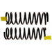 Coil Spring Set TRW JCS1643T