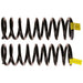 Coil Spring Set TRW JCS1740T