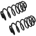 Coil Spring Set TRW JCS1631T