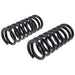 Coil Spring Set TRW JCS1897T