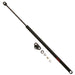 Trunk Lid Lift Support TRW TSG226001