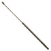 Hood Lift Support TRW TSG250009